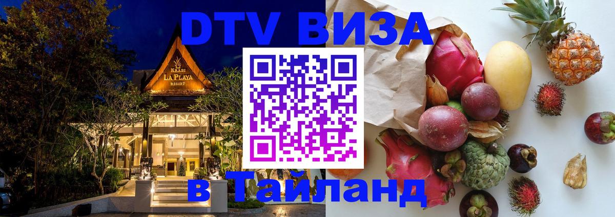 Оформление DTV визы под ключ: стоимость и тарифы, только загранпаспорт - 21.11.2025 